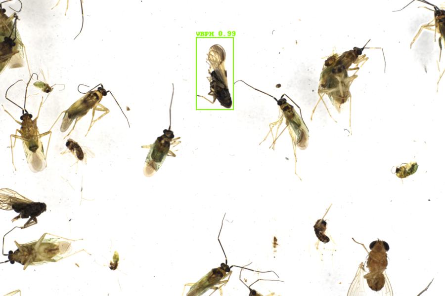 Image 18